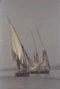 Shipping on the Nile (40kb)