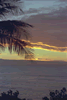 Paradise revisited (47kb)